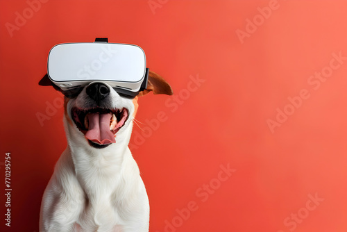 Pet dog wearing virtual reality (VR) goggles. Red background. Space for copy. © Abas