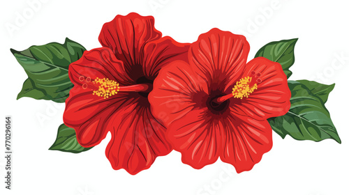 Vector hibiscus flower isolated on white background