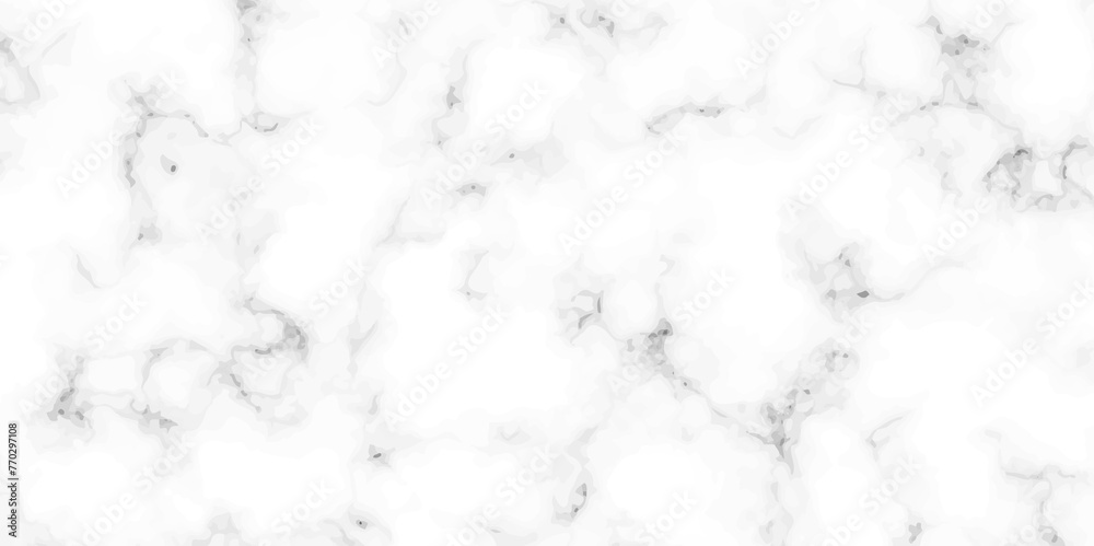White marble texture and background. black and white marbling surface stone wall tiles and floor tiles texture. vector illustration. White marble texture and background. black and white marbling surface stone wall tiles and floor tiles texture. vector illustration.