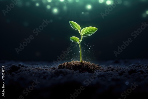 A small green plant is growing in the dirt. The image has a moody, mysterious feel to it, as if the plant is growing in a dark, shadowy environment