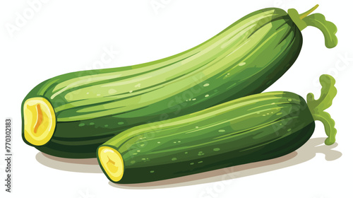 Zucchini or Marrow Ripe Vegetable as Organic Food 