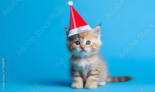 Cute cat celebrating with red pary hat and blow-out against a blue background and copy space to side photo