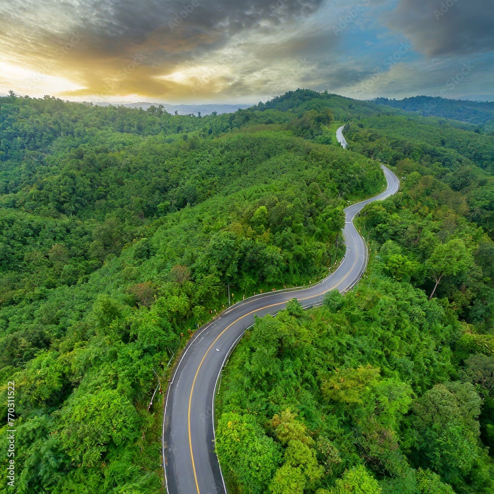 Rainy Serenity: Aerial View of Curving Forest Road Amidst Lush Greenery