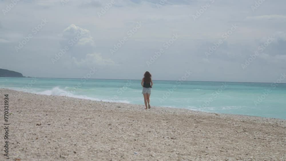 Rear view of a woman walking on the shoreline of a beach. Rear view of a woman walking on the shoreline of a beach.