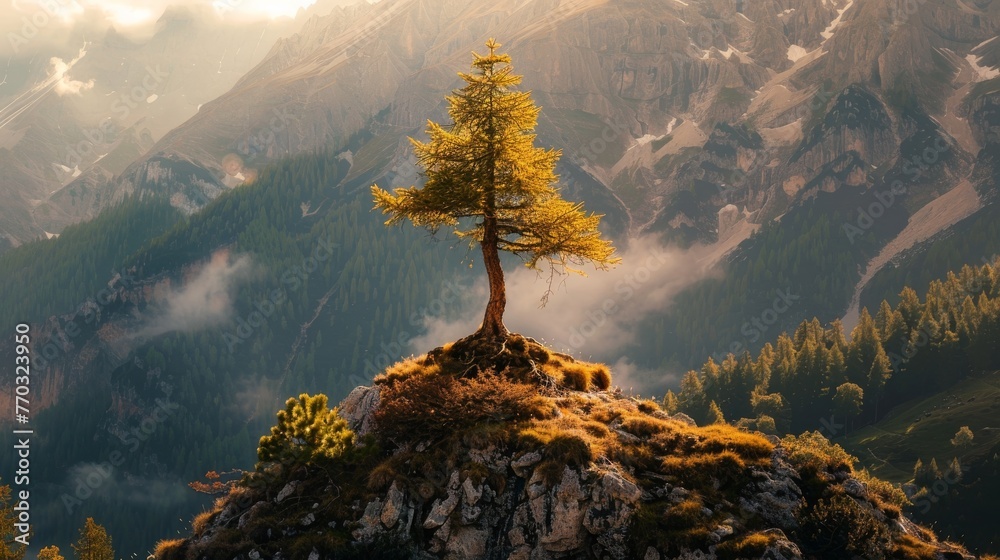 A lone tree standing tall on a mountain peak, symbolizing the sense of accomplishment after overcoming challenges.  - obrazy, fototapety, plakaty 
