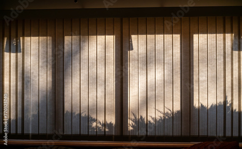 Full frame abstract texture background of outdoor landscaping shadows cast onto a large window with vertical blinds, in a darkened room