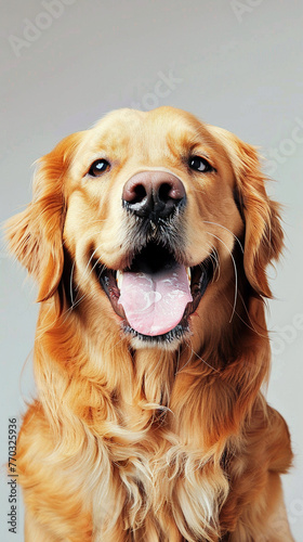 Happy dog with shiny coat, benefits of premium dog food, 3D vector,