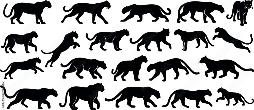 Black Panther silhouette Black Panther silhouette