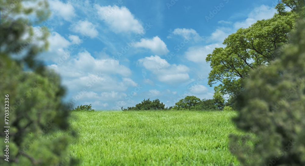 Obraz premium 夏の高原草原 雲と青空 芝の続く野原と全面の森の背景 アウトドア・初夏・夏やすみ・自然の背景