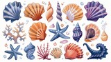 Colorful sea shell and conch collection, vector cartoons, alongside cute krakens, marine life adventure