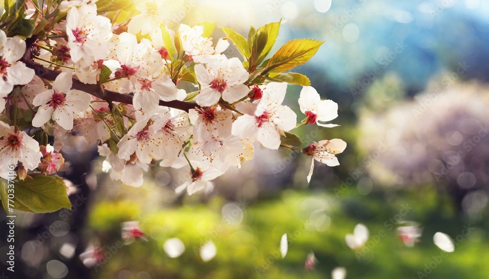 Springtime Splendor: Blossoming Trees Amidst Blurred Backdrop of Nature