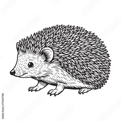 Line art of hedgehog  vector