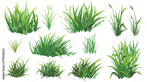 Grass vector flat vector isolated on white background