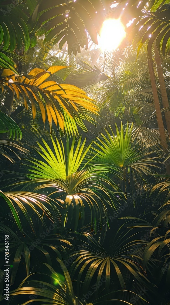 Sun Shining Through Palm Tree Leaves