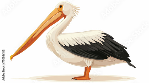 Cartoon pelican isolated on white background flat vector