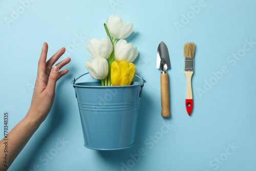 Gardening supplies  hand and tulips on blue background  top view