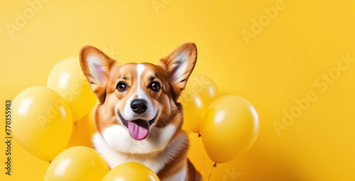 Banner, Cute dog with balloon on yellow background. Birthday holiday concept.