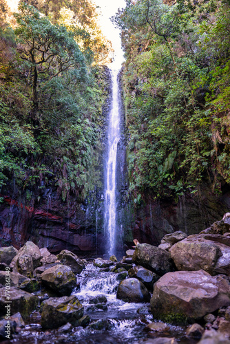 The photo shows a waterfall in the middle of a forest in Madeira. Water cascades down from a great height along a rocky cliff. In the background, dense forest with tall trees and lush vegetation is  photo