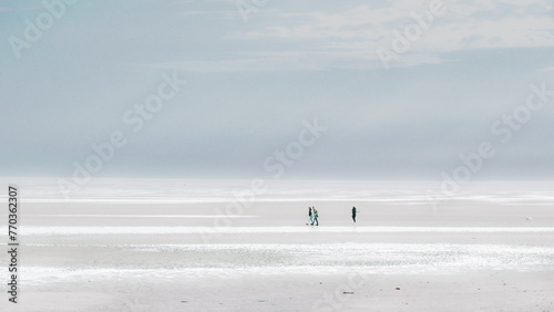 Wadden Sea Coast.Sea recreation and vacation.People walking with a dog along the beach on a cloudy day.Frisian Islands. Fer Island. Germany.