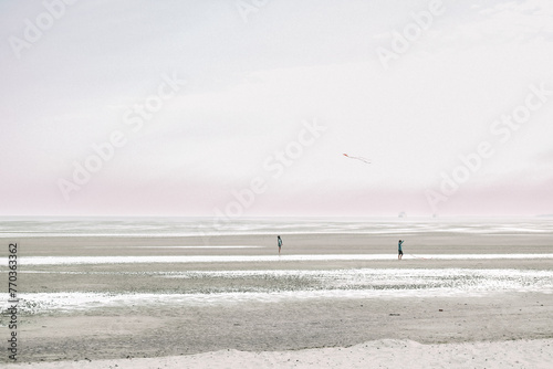 People fly a kite on the seashore on a cloudy day.Wadden Sea Coast.Frisian Islands.Fer Island.Germany.Kites and people walking on the white sandy sea beach.Flying kites on the seashore.