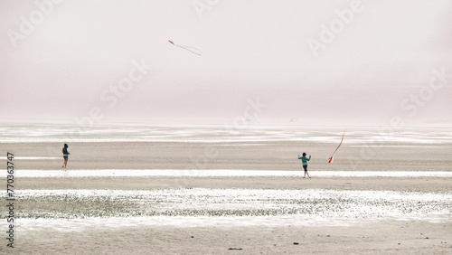 Kites and people walking on the white sandy sea beach.Flying kites on the seashore.Sea recreation and vacation.People fly a kite on the seashore on a cloudy day