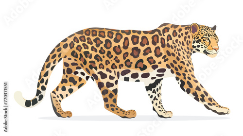 Leopard vector on white background. Jaguarpumawild cat