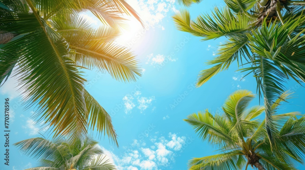 tropical palm leaf background, coconut palm trees perspective view