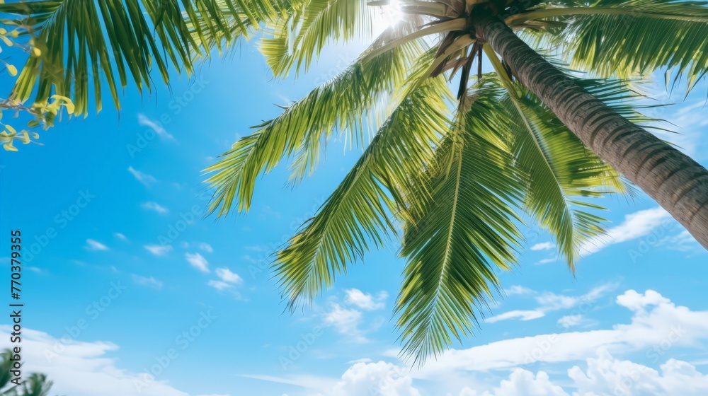 Tropical beach background with palm tree and azure sea
