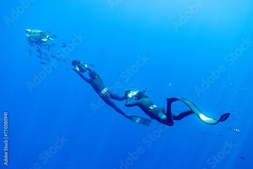 Two underwater photographers follow a sea turtle underwater
