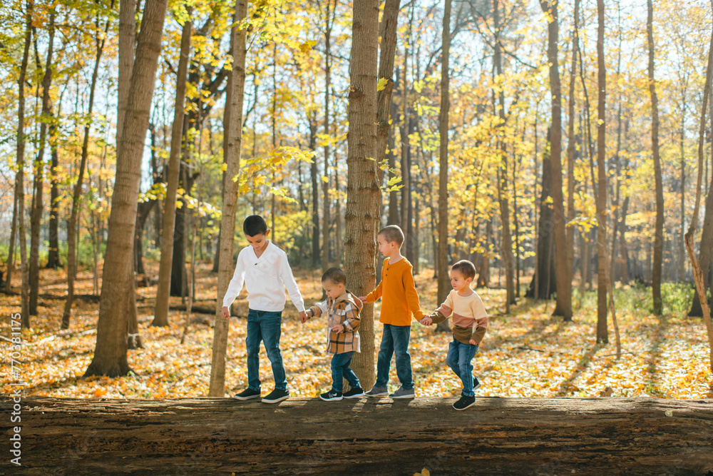 Brothers holding hands and crossing a log in autumn forest Brothers holding hands and crossing a log in autumn forest
