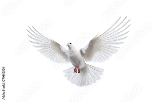 Flying white doves on a white background