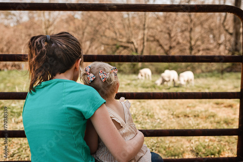 Young girls sitting together watching sheep graze on farm
