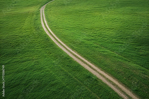 Aerial view of a green meadow with a dirt road