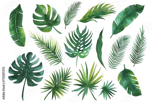 Set of tropical leaves isolated on white background, Watercolor illustration