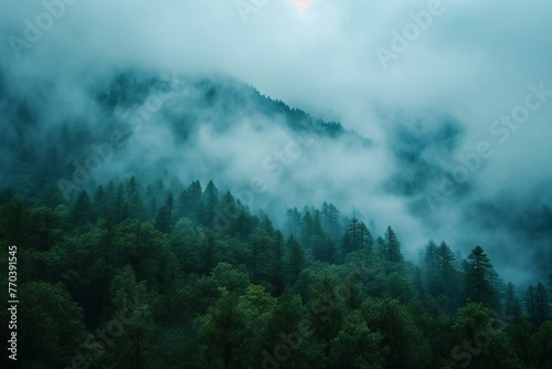 Mountain landscape with fog and coniferous forest in the morning