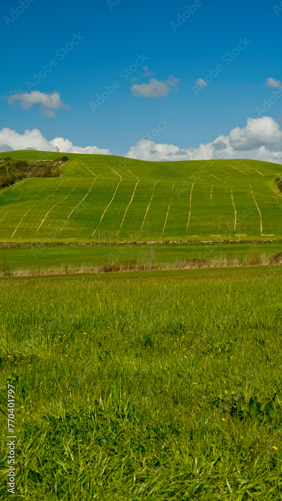 Panorama collinare della Val d'Orcia lungo il percorso ciclistico dell'Eroica. Provincia di Siena. Toscana , Italia