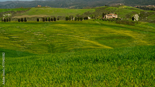 Panorama collinare della Val d'Orcia lungo il percorso ciclistico dell'Eroica. Provincia di Siena. Toscana , Italia photo