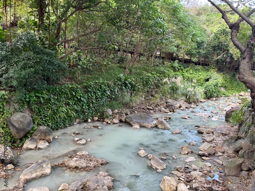 北投の川 photo