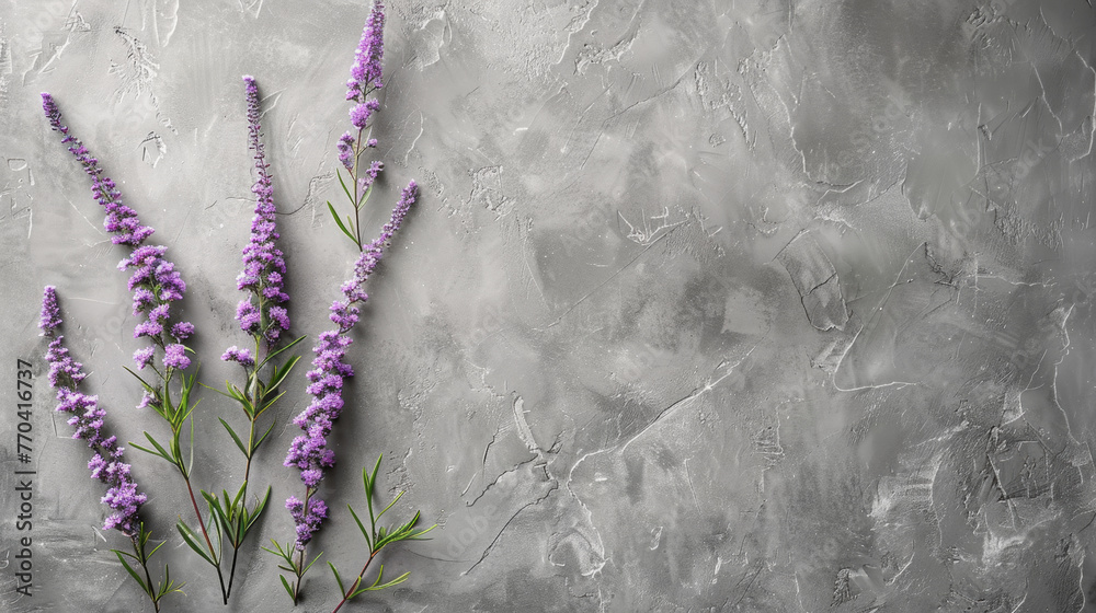 A bunch of purple flowers are on a grey wall. The flowers are purple and are arranged in a way that they are not touching each other - obrazy, fototapety, plakaty 