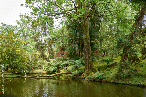 Terra Nostra garden a tropical world in Sao Miguel  Azores  Portugal