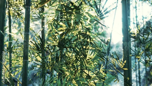 A Majestic Bamboo Tree with an Abundance of Lush Green Leaves photo