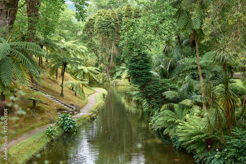 Terra Nostra garden a tropical world in Sao Miguel  Azores  Portugal