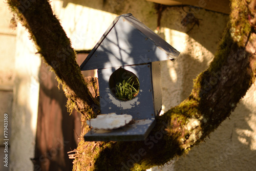 la nature reprend ses droits