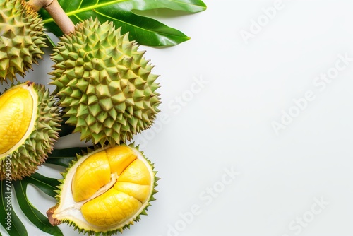 isolated durian. Durian on a white background. empty space