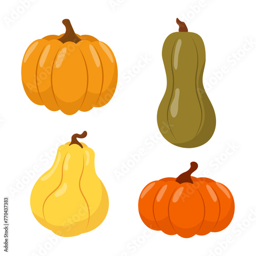 Set of pumpkin icons of different shapes. Vector illustration.