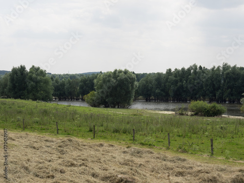 Sommerzeit am Rheindeich bei Bislich photo