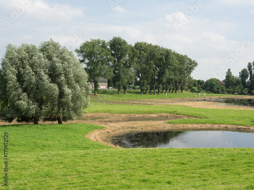 Sommerzeit am Rheindeich bei Bislich photo