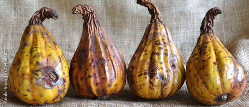   Four gourds, each with brown spots, rest on a burlap cloth One gourd features a knot at its top end