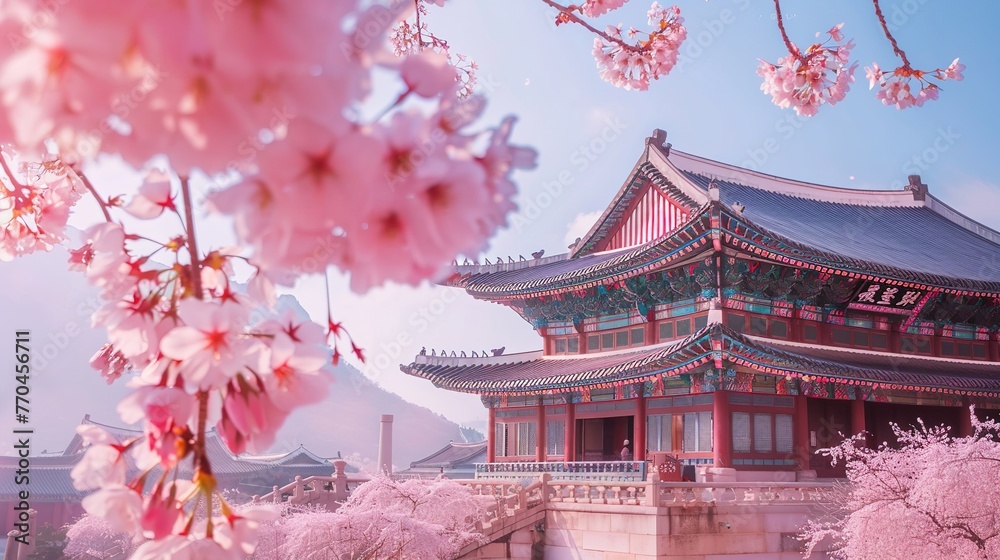 Gyeongbokgung Palace with cherry blossom in spring,Korea Gyeongbokgung Palace with cherry blossom in spring,Korea