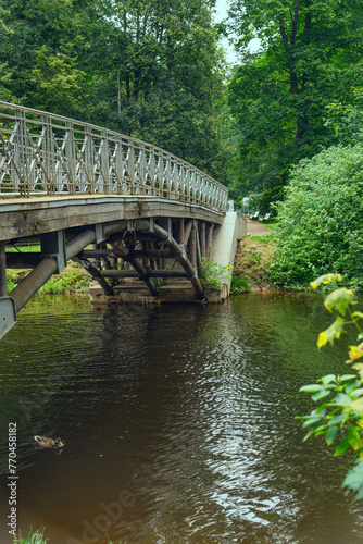 An arched wooden bridge over a park pond in summer.